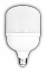 35W TORCH LED AMPUL (E-27) (BEYAZ)