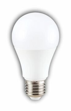 CT-4266G 12W LED AMPUL (E27) (GÜNIŞIĞI)