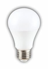 CT4274G 15W LED AMPUL (E27) (GÜNIŞIĞI)