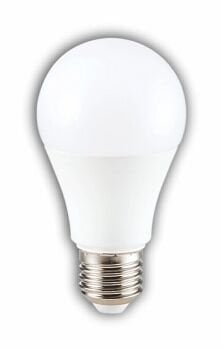 CT-4277G 9W LED AMPUL (E-27) (GÜNIŞIĞI)