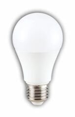 CT-4277G 9W LED AMPUL (E-27) (GÜNIŞIĞI)