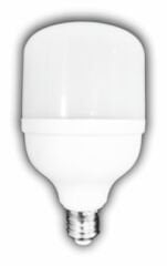 CT-4330 25W TORCH LED AMPUL (E-27) (BEYAZ)