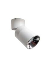 CT-5335B DATÇA SIVA ÜSTÜ ARMATÜR (GU 10)(BEYAZ-PLATİN)