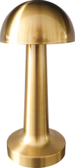 CT-8429 LİZBON ANTİK ŞARJLI MASA LAMBASI