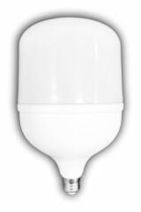 CT-4328 65W TORCH LED AMPUL (E-27) (BEYAZ)